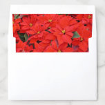 Red Poinsettias I Christmas Holiday Floral Photo Envelope Liner