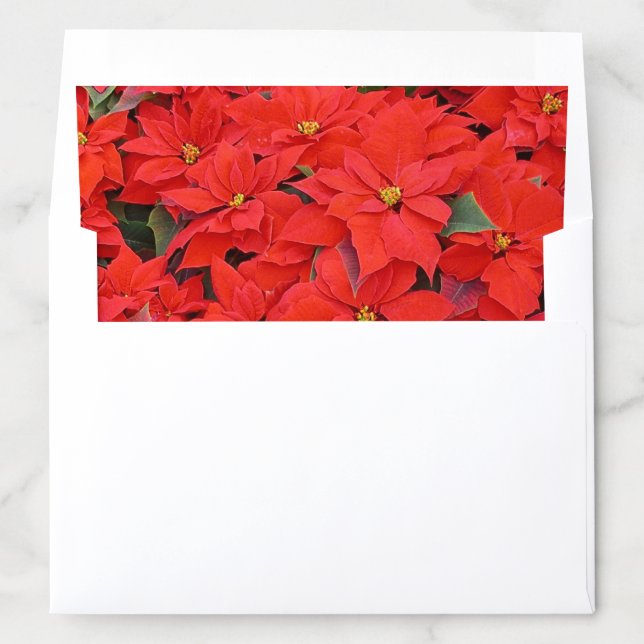 Red Poinsettias I Christmas Holiday Floral Photo Envelope Liner (In Envelope)
