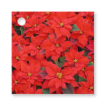 Red Poinsettias I Christmas Holiday Floral Photo Favor Tags