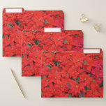Red Poinsettias I Christmas Holiday Floral Photo File Folder