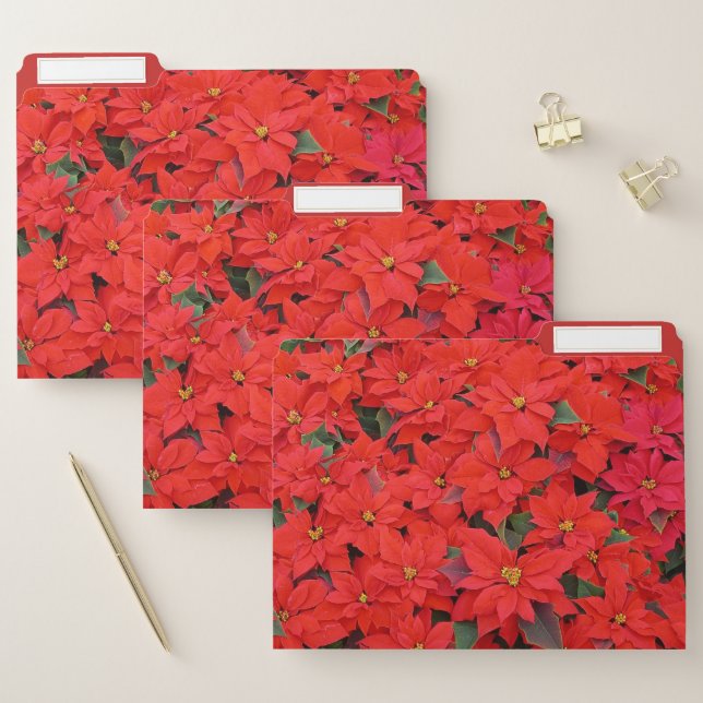 Red Poinsettias I Christmas Holiday Floral Photo File Folder (Set)