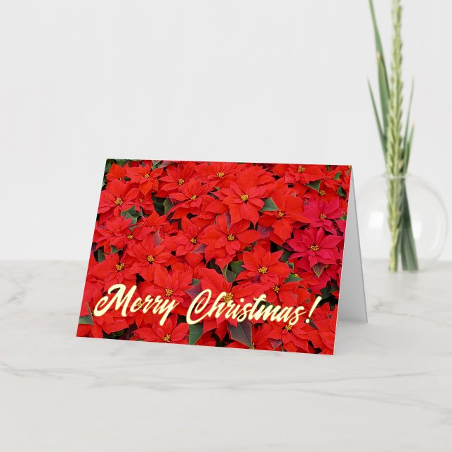 Red Poinsettias I Christmas Holiday Floral Photo Foil Greeting Card (Front)