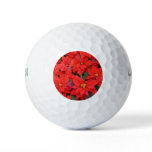 Red Poinsettias I Christmas Holiday Floral Photo Golf Balls