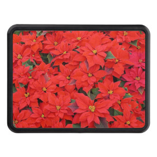 Red Poinsettias I Christmas Holiday Floral Photo Hitch Cover