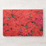 Red Poinsettias I Christmas Holiday Floral Photo HP Laptop Skin