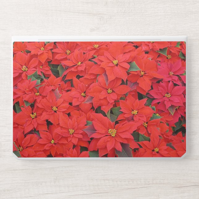Red Poinsettias I Christmas Holiday Floral Photo HP Laptop Skin (Front)