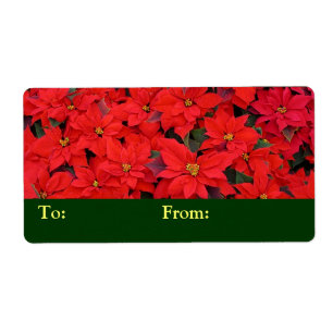 Red Poinsettias I Christmas Holiday Floral Photo Label