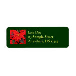 Red Poinsettias I Christmas Holiday Floral Photo Label