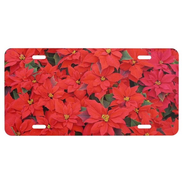 Red Poinsettias I Christmas Holiday Floral Photo License Plate (Front)