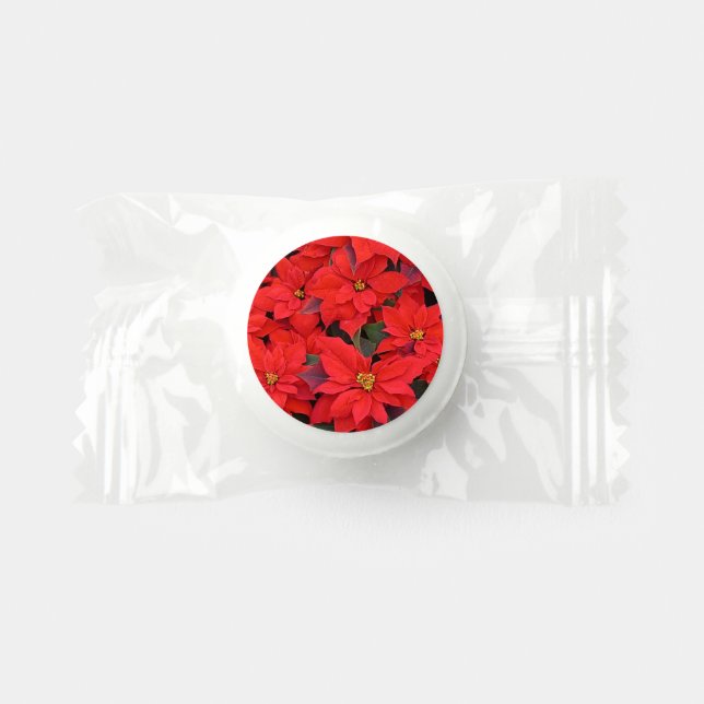 Red Poinsettias I Christmas Holiday Floral Photo Life Saver® Mints (Front)