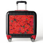 Red Poinsettias I Christmas Holiday Floral Photo Luggage