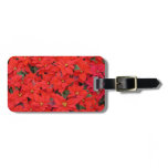 Red Poinsettias I Christmas Holiday Floral Photo Luggage Tag