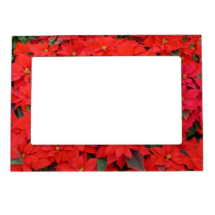 Red Poinsettias I Christmas Holiday Floral Photo Magnetic Photo Frame