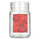 Red Poinsettias I Christmas Holiday Floral Photo Mason Jar