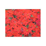 Red Poinsettias I Christmas Holiday Floral Photo Metal Print