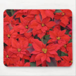Red Poinsettias I Christmas Holiday Floral Photo Mouse Pad