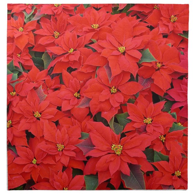 Red Poinsettias I Christmas Holiday Floral Photo Napkin (Front)