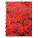 Red Poinsettias I Christmas Holiday Floral Photo Notebook