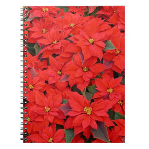 Red Poinsettias I Christmas Holiday Floral Photo Notebook