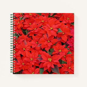Red Poinsettias I Christmas Holiday Floral Photo Notebook