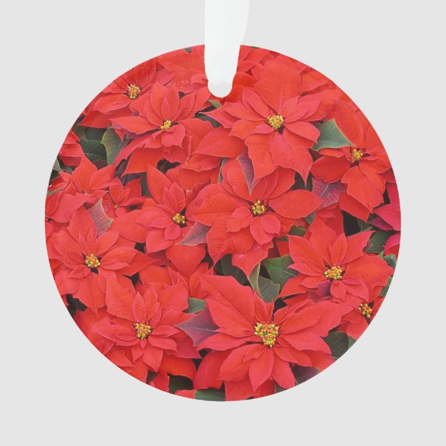 Red Poinsettias I Christmas Holiday Floral Photo Ornament (Front)