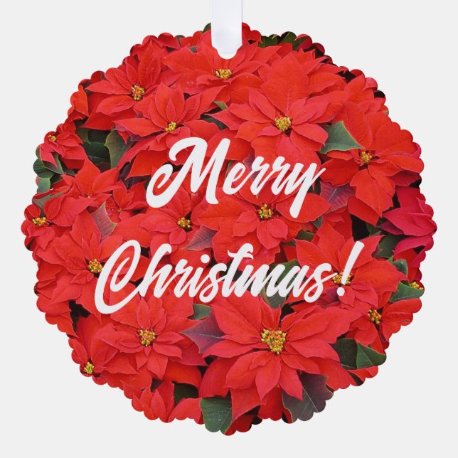 Red Poinsettias I Christmas Holiday Floral Photo Ornament Card (Front)