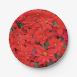 Red Poinsettias I Christmas Holiday Floral Photo Paper Plates