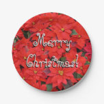 Red Poinsettias I Christmas Holiday Floral Photo Paper Plates