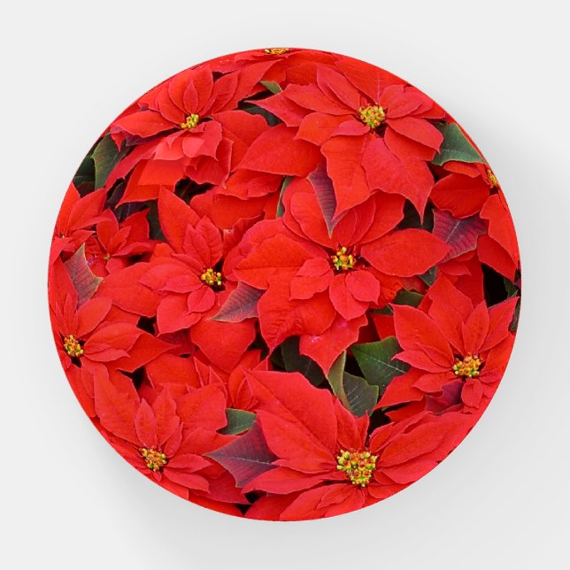 Red Poinsettias I Christmas Holiday Floral Photo Paperweight (Front)