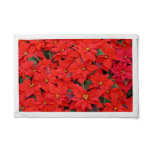 Red Poinsettias I Christmas Holiday Floral Photo Pennant
