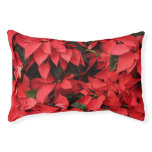 Red Poinsettias I Christmas Holiday Floral Photo Pet Bed
