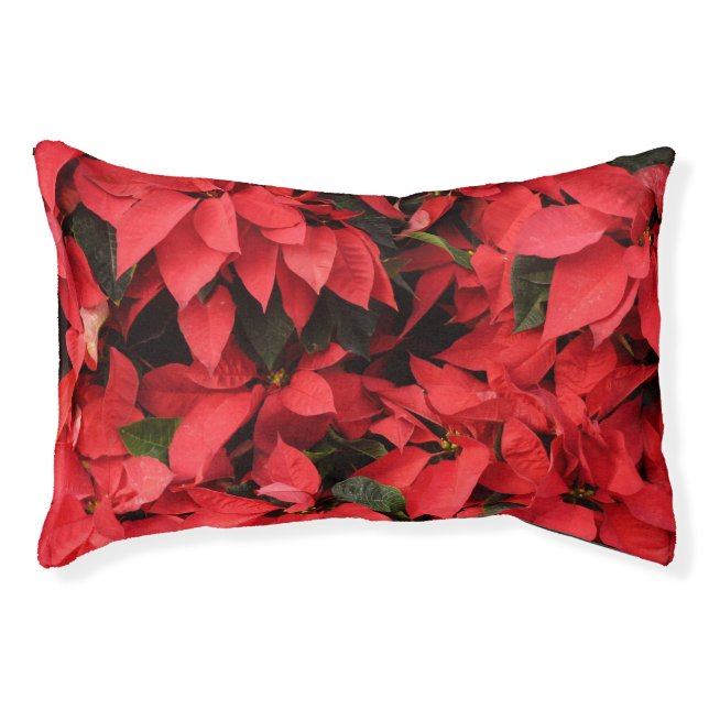 Red Poinsettias I Christmas Holiday Floral Photo Pet Bed (Front)