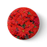 Red Poinsettias I Christmas Holiday Floral Photo Pinback Button