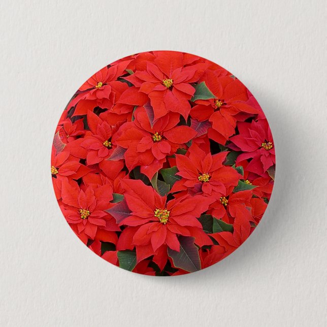 Red Poinsettias I Christmas Holiday Floral Photo Pinback Button (Front)