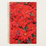 Red Poinsettias I Christmas Holiday Floral Photo Planner