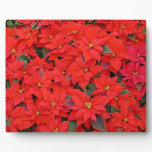 Red Poinsettias I Christmas Holiday Floral Photo Plaque