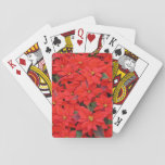 Red Poinsettias I Christmas Holiday Floral Photo Playing Cards