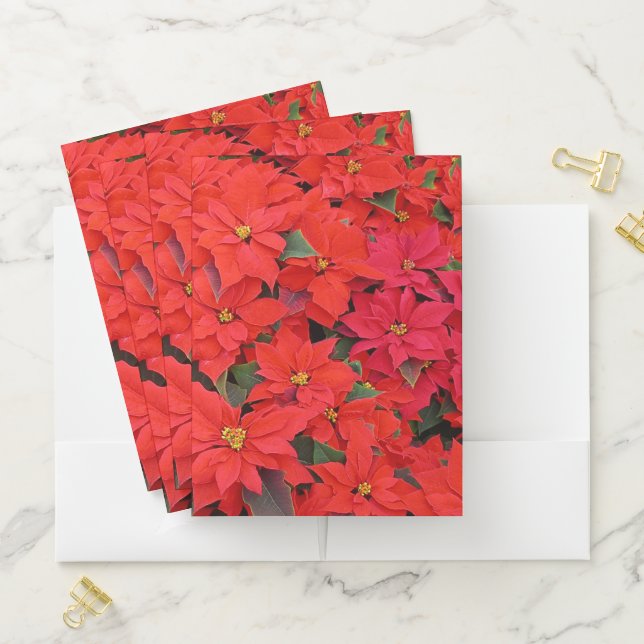 Red Poinsettias I Christmas Holiday Floral Photo Pocket Folder (In Situ)