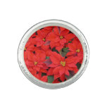 Red Poinsettias I Christmas Holiday Floral Photo Ring