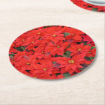 Red Poinsettias I Christmas Holiday Floral Photo Round Paper Coaster