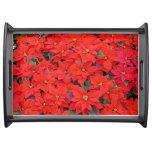 Red Poinsettias I Christmas Holiday Floral Photo Serving Tray