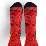 Red Poinsettias I Christmas Holiday Floral Photo Socks