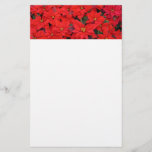 Red Poinsettias I Christmas Holiday Floral Photo Stationery