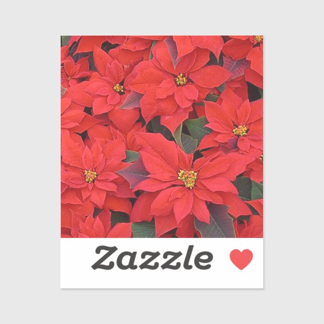 Red Poinsettias I Christmas Holiday Floral Photo Sticker (Sheet)
