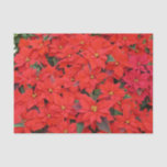 Red Poinsettias I Christmas Holiday Floral Photo Tissue Paper