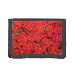 Red Poinsettias I Christmas Holiday Floral Photo Trifold Wallet