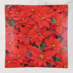 Red Poinsettias I Christmas Holiday Floral Photo Trinket Tray