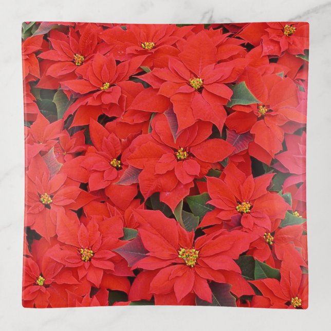 Red Poinsettias I Christmas Holiday Floral Photo Trinket Tray (Front)