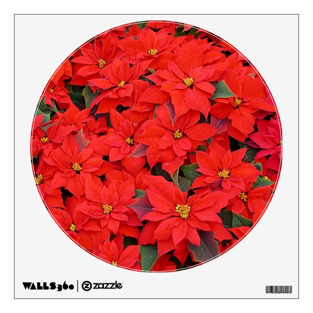 Red Poinsettias I Christmas Holiday Floral Photo Wall Sticker (Front)