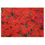 Red Poinsettias I Christmas Holiday Floral Photo Wood Poster